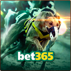 토토사이트 셔틀-bet365 안전토토사이트